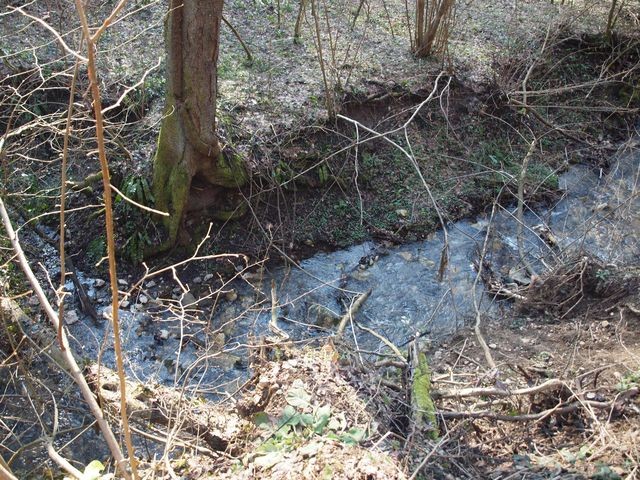 potok topličina